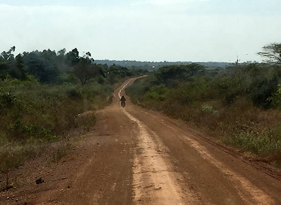 Rural Kenya road