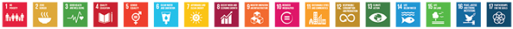 UN SDGs